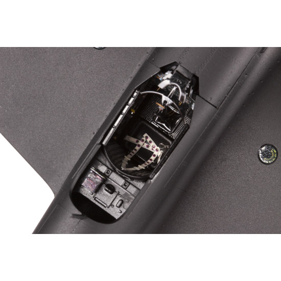 Eduard BIG49351 1/48 Yak-9D Big Ed for Aircraft