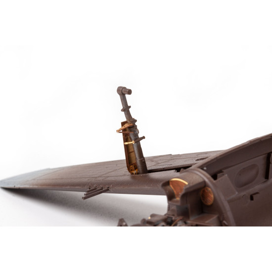 Eduard BIG49401 1/48 P-47D-25 Big Ed for Aircraft