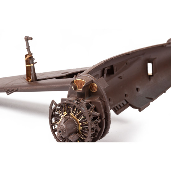 Eduard BIG49401 1/48 P-47D-25 Big Ed for Aircraft