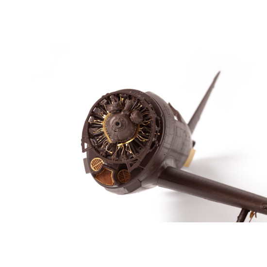 Eduard BIG49401 1/48 P-47D-25 Big Ed for Aircraft