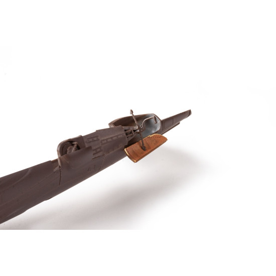 Eduard BIG49401 1/48 P-47D-25 Big Ed for Aircraft