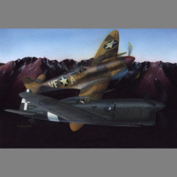 LF Models 4801 1/48 Ambrosini SAI 207