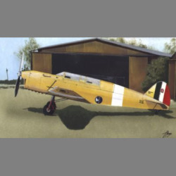 LF Models 4808 1/48 Nardi Fn 315