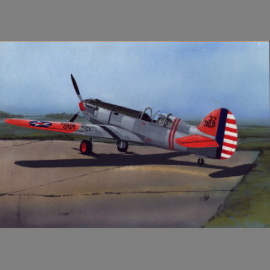 LF Models 4811 1/48 Curtiss YP-37