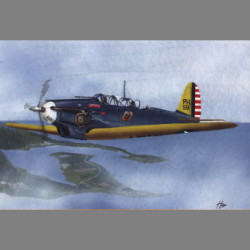 LF Models 4813 1/48 Consolidated PB-2A/P-30