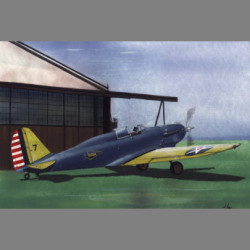 LF Models 7248 1/72 Consolidated PB-2A Single seat