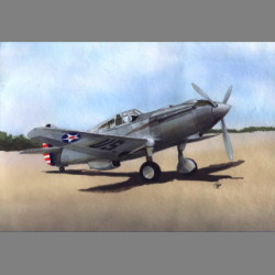 LF Models 7259 1/72 Curtiss XP-40