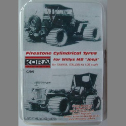 LF Models C3502 1/35 Fi 156 USAF