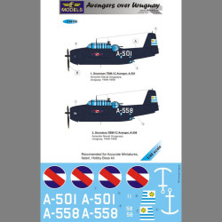 LF Models C48156 1/48 Grumman Avenger over Uruguay part II.