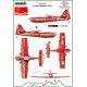 ModelMaker 1/48 D48076 Zlin Z-50 Żelazny Aerobatic Team Aircraft Decal