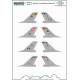 ModelMaker 1/48 D48175 Belgian F-16 Squadrons Generic set Aircraft Decal ModelMaker 1/48 D48175 Belgian F-16 Squadrons Generic set Aircraft Decal