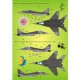 ModelMaker 1/72 D72007 MiG-29 in Polish service vol.2 Aircraft Decal ModelMaker 1/72 D72007 MiG-29 in Polish service vol.2 Aircraft Decal