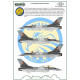 ModelMaker 1/72 D72097 F-16AM/BM in Romanian service Aircraft Decal ModelMaker 1/72 D72097 F-16AM/BM in Romanian service Aircraft Decal