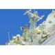 Eduard 53150 1/350 USS Oliver H. Perry FFG-7 0 Photo-Etched for Ships Photo etched set
