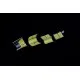 Eduard 644278 1/48 P-51B/C framed canopy LööKplus Brassin for Aircraft