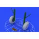 Eduard 648052 1/48 Bf 110 C/D main undercarriage wheels Brassin for Aircraft