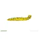 Eduard 7096 1/72 L-29 Delfin Plastic for Aircraft Profipack