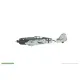 Eduard 7467 1/72 Fw 190A-8/R2 Plastic for Aircraft Weekend edition