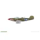 Eduard 8067 1/48 P-39N Airacobra Plastic for Aircraft Profipack