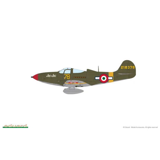 Eduard 8067 1/48 P-39N Airacobra Plastic for Aircraft Profipack