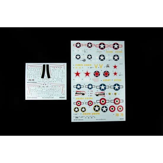 Eduard 8067 1/48 P-39N Airacobra Plastic for Aircraft Profipack