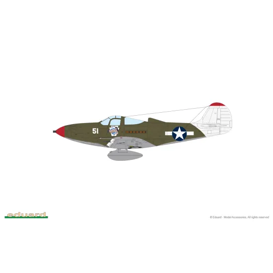 Eduard 8067 1/48 P-39N Airacobra Plastic for Aircraft Profipack