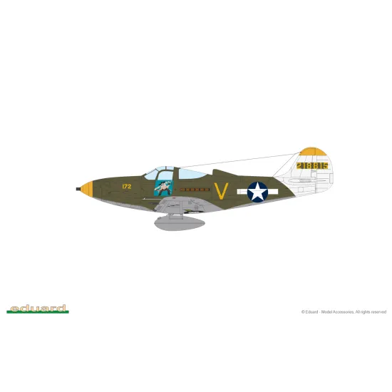 Eduard 8067 1/48 P-39N Airacobra Plastic for Aircraft Profipack