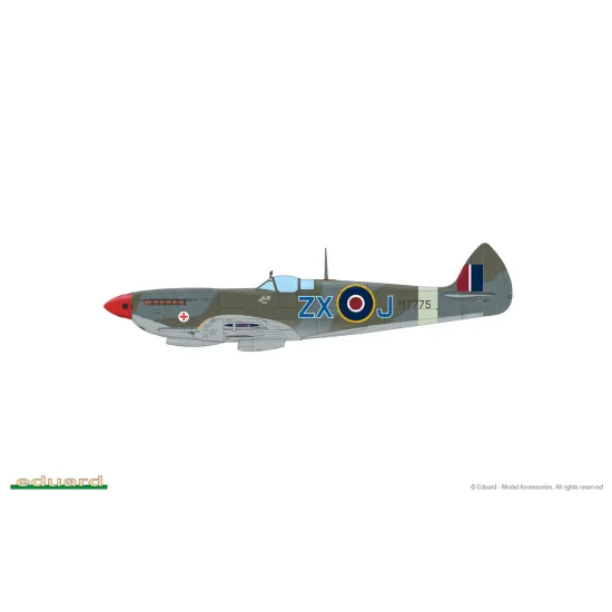 Eduard 84154 1/48 Spitfire Mk.VIII Plastic for Aircraft Weekend edition