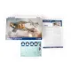 Eduard 8452 1/48 Bristol F.2B Fighter Plastic for Aircraft Weekend edition