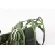 Eduard BIG2405 1/24 Spitfire Mk.IXc Big Ed for Aircraft