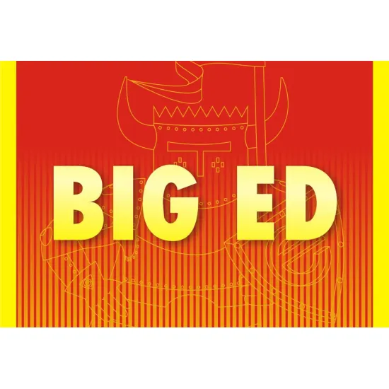 Eduard BIG49242 1/48 F-16C Block 25 Big Ed for Aircraft