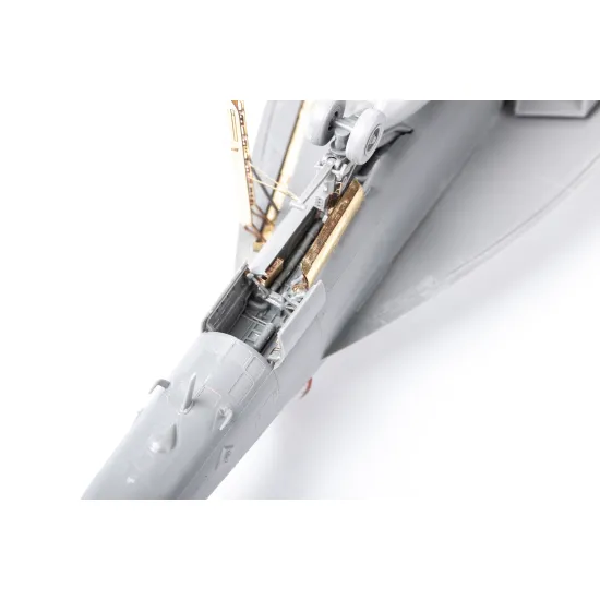 Eduard BIG49324 1/48 F/A-18F Big Ed for Aircraft