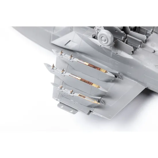 Eduard BIG49324 1/48 F/A-18F Big Ed for Aircraft