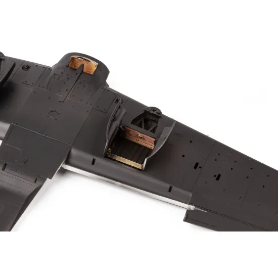 Eduard BIG49344 1/48 A-1H Big Ed for Aircraft
