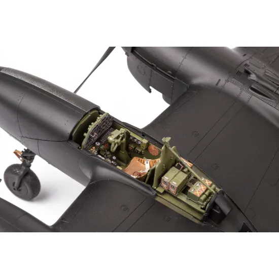 Eduard BIG49349 1/48 P-38J Big Ed for Aircraft