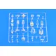 Eduard CX497 1/72 Fortress Mk.III Sticker for Aircraft