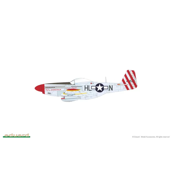 Eduard D32010 1/32 P-51D-5 
