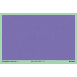 Eduard ER72005 1/48 Single radial rows 3D Decal for Aircraft Eddie the riveter