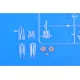 Eduard EX560 1/48 P-51D Sticker for Aircraft