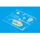 Eduard EX704 1/48 Do 217J-1/2 Sticker for Aircraft