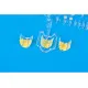 Eduard EX720 1/48 P-38H TFace Sticker for Aircraft