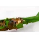 Eduard SS696 1/72 TBF/TBM-1 Avenger Photo-Etched for Aircraft Zoom set