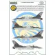 ModelMaker 1/32 D32097 F-16AM/BM in Romanian service Aircraft Decal