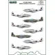 ModelMaker 1/32 MD32102 303 Squadron North Ameriacan Mustangs mask + decal Mask