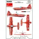 ModelMaker 1/48 D48076 Zlin Z-50 Żelazny Aerobatic Team Aircraft Decal
