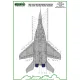 ModelMaker 1/48 D48091 MiG-29 Polish stencils Aircraft Decal