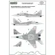 ModelMaker 1/48 D48106 MiG-29 Heroes of Kosciuszko scheme part 2 Aircraft Decal