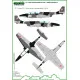 ModelMaker 1/72 D72037 TS-11 Iskra Polish service vol.1 Combat Regiments Decal