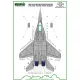 ModelMaker 1/72 D72091 MiG-29 Polish stencils Aircraft Decal