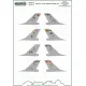 ModelMaker 1/72 D72175 Belgian F-16 Squadrons GENERIC SET Aircraft Decal